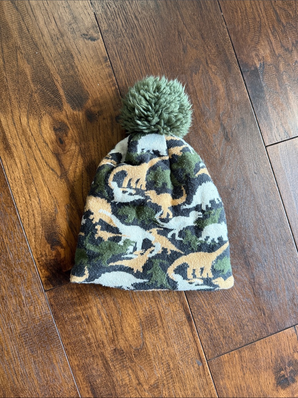 Dinosaur camo Beanie Hat with pom